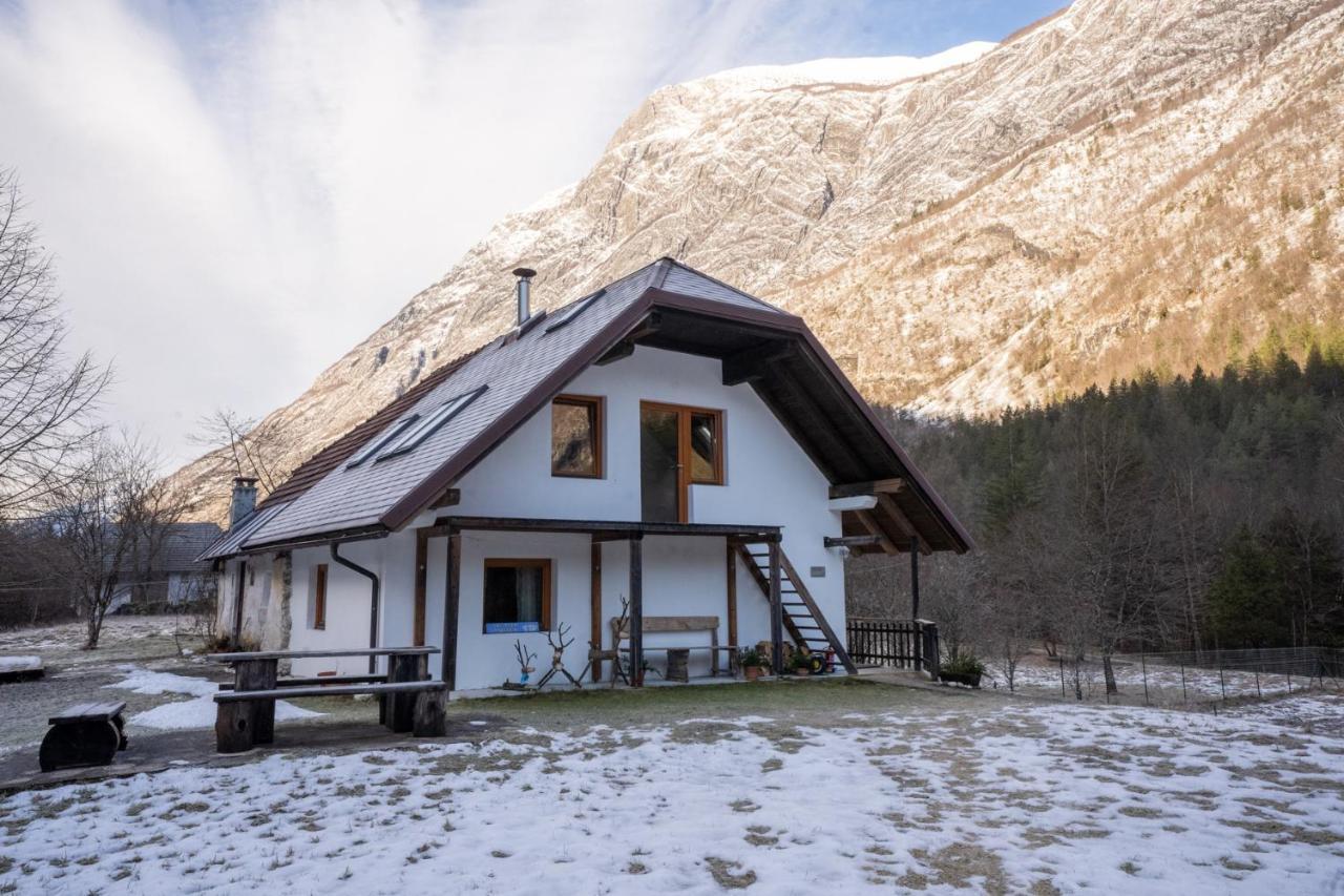 Bovec Home At Three Samoyeds Soča Esterno foto